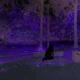 Cute Girls and Nice Food