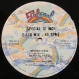 Spring Rain (special 12 inch disco mix)