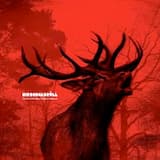 Hirschgebrüll, Part 1