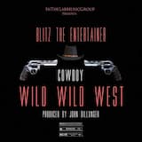 Cowboy (Wild Wild West)