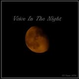 Voice In The Night