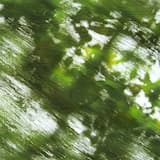 蟲宴 (Instrumental)