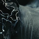 Dogma (Infinite Falling Ground)