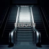 Creatures of the Night