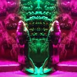 Крипс даёт зелёный свет