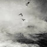 You Don't Know What Love Is