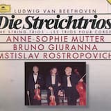 Trio for Violin, Viola, and Cello in E-flat major, op. 3: I. Allegro con brio