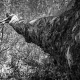 Edwards-Karlsen-Northover