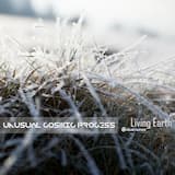 Another Beautiful Morning