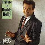Tribute to Buddy Holly