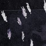 early music (for a saturday) – Hangover Remix