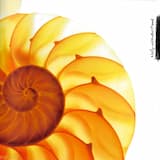 Skinflick Dress Rehearsal