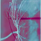 An Antidote to Decay