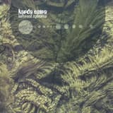 Prelude to a Dark Vortex