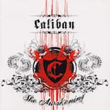 I Will Never Let You Down