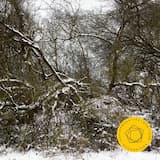 Symphony no. 2 in E Minor, op. 27: I. Largo - Allegro moderato