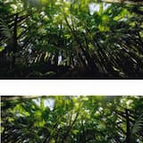 Pasco Hernando Community Crisis