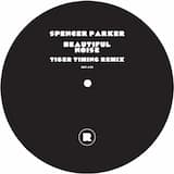 Beautiful Noise (Tiger Timing remix)