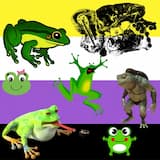 AFAB - All Frogs Are Bisexual