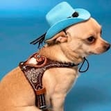 Episode II (prod. mahnuehl)