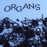 A Sea With No Colour