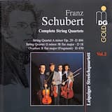 Quartet in A minor, D. 804: I. Allegro ma non troppo