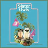 Sister Owls