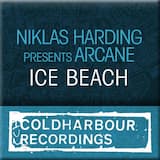 Ice Beach (original mix)