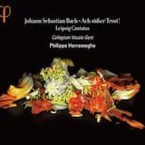 Cantata BWV 25 "Es ist nichts Gesundes an meinem Leibe": I. Coro "Es ist nichts Gesundes an meinem Leibe"