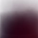 In Memory of Starshine