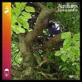 Auxiliaires dans la lumière