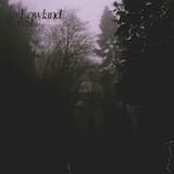 Voices of the Old Hands