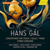 Concertino for Cello and String Orchestra, Op. 87: I. Molto moderato - Quasi allegro