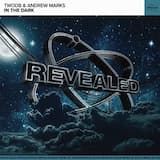 In the Dark (extended mix)