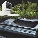 Smells Like Teen Spirit