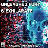 Take the Fucking Pill