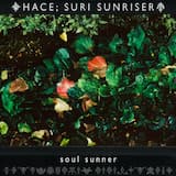 soul sunner