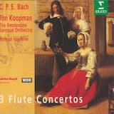Flute Concerto in D minor, H.425/W.22: I. Allegretto
