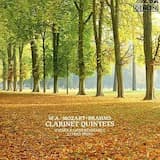 ブラームス：クラリネット五重奏曲 ロ短調 作品115 I. Allegro