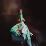 You’ve Got the Love