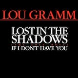 Lost In The Shadows (The Lost Boys) - (LP Version)