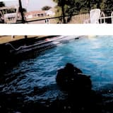 京都へミンスク Minskyoto Incorporator