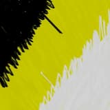 Bodies of Ash and Salt