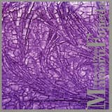 The Fourth Collection: pattern XIII