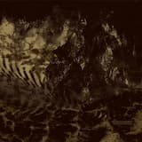 Trapped Behind Silence