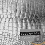 Y'all'd Think She'd Be Good 2 Me