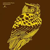 Turkish Delight (12inch Version)