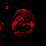 Cast the First Stone