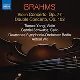 Violin Concerto in D Major, Op. 77: II. Adagio