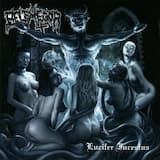 Intro: Inflamate Christianos